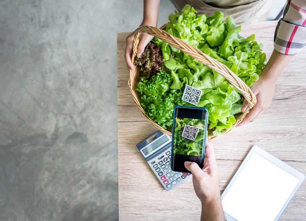 Графический код и немного банковской магии — рассказываем о новом способе принимать безналичную оплату от клиентов без терминала.