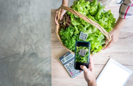 Графический код и немного банковской магии — рассказываем о новом способе принимать безналичную оплату от клиентов без терминала.